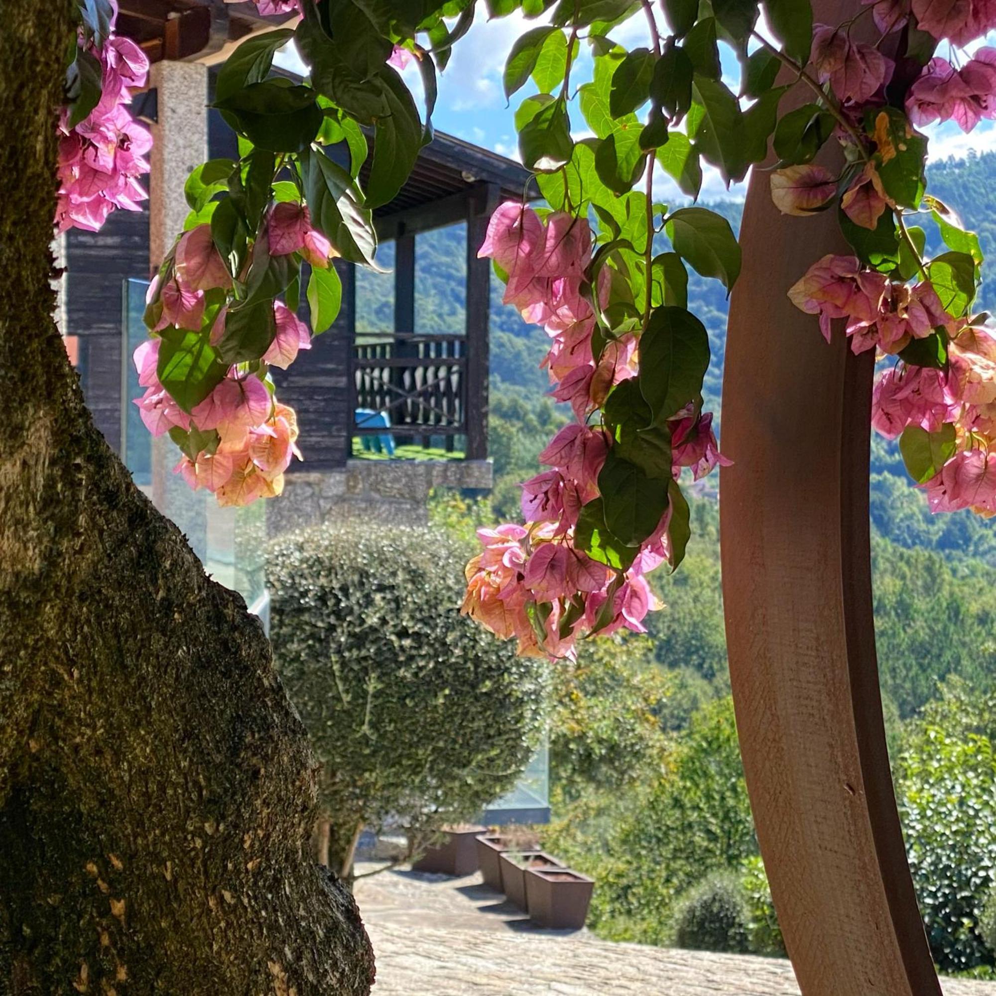 Quinta Cercas Da Costa Villa Vieira do Minho Bagian luar foto