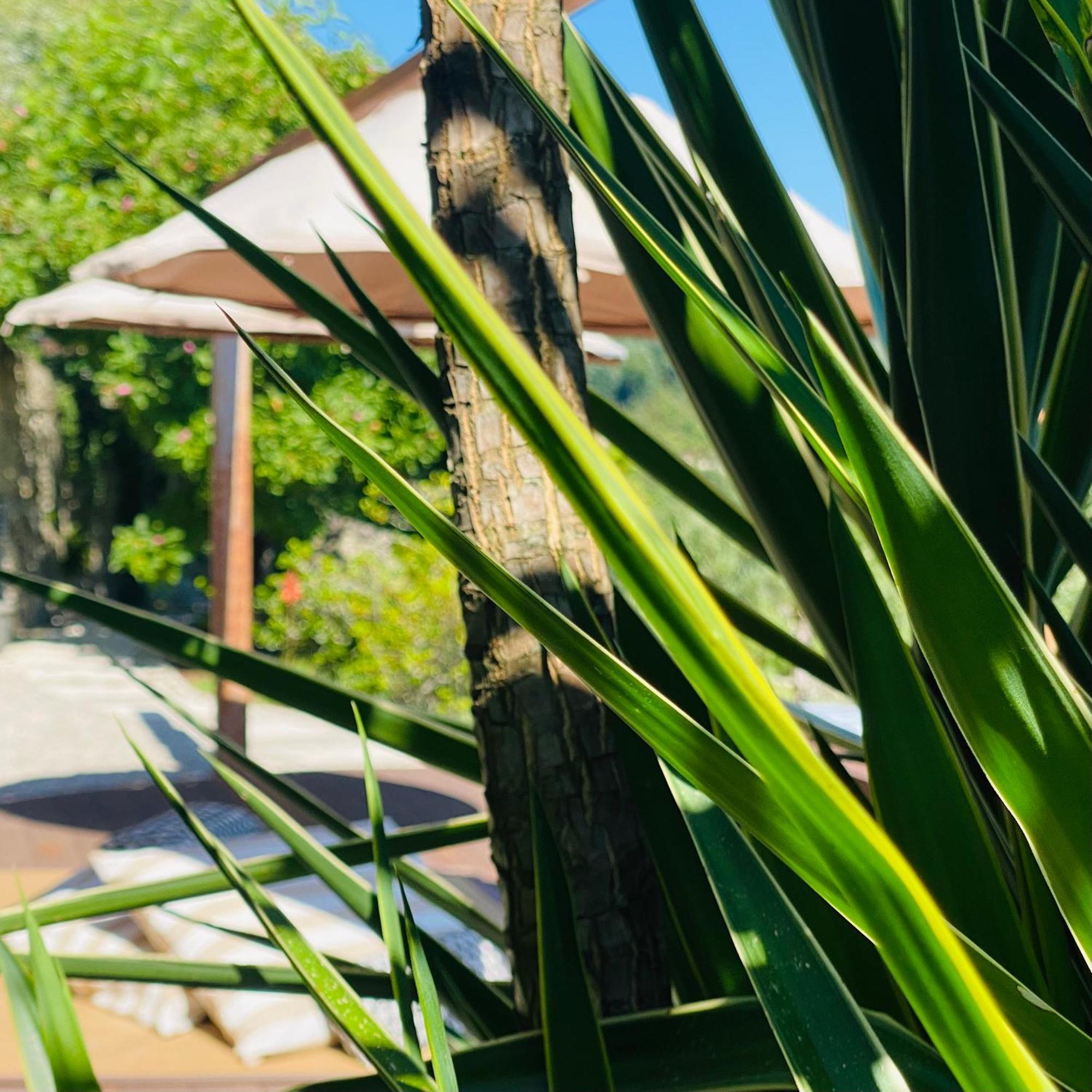 Quinta Cercas Da Costa Villa Vieira do Minho Bagian luar foto